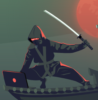 NameCheap Black Friday: Web Ninjas unite!