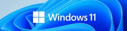 SFCOMPY™ Windows 11 Upgrade 
